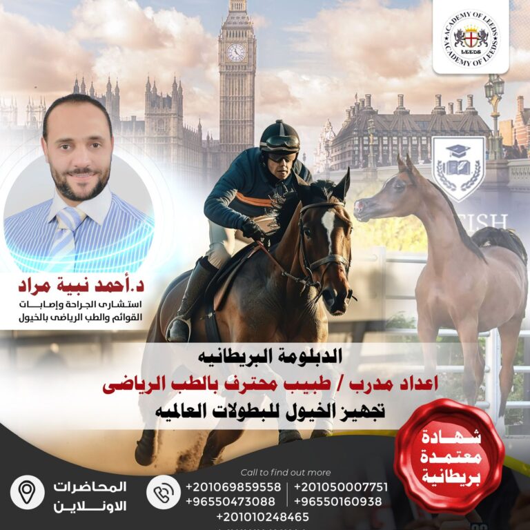 أساسيات تدريب الخيول من الصفر إلى الاحتراف